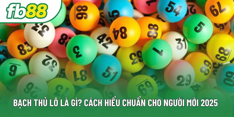 Bạch Thủ Lô Là Gì? Cách Hiểu Chuẩn Cho Người Mới 2025