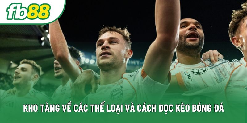 Kho tàng về các thể loại và cách đọc kèo bóng đá Kho tàng về các thể loại và cách đọc kèo bóng đá