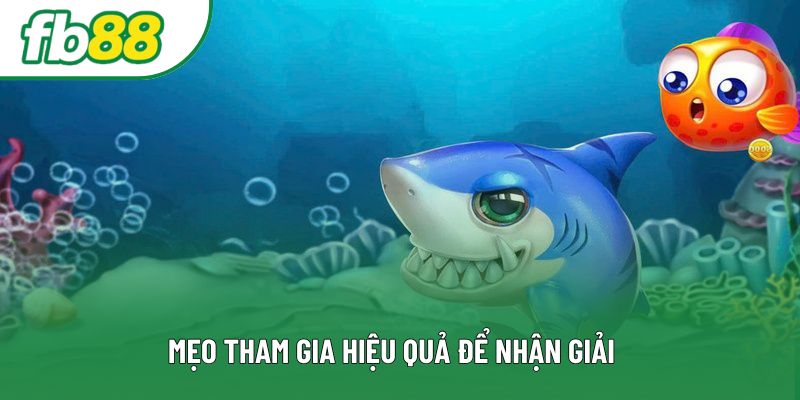 Mẹo tham gia hiệu quả để nhận giải 