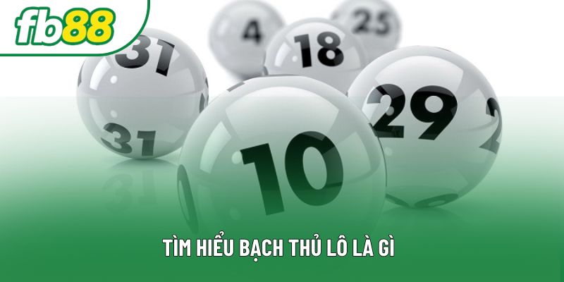 Tìm hiểu bạch thủ lô là gì